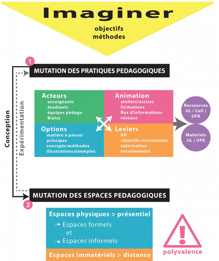 MutationPedagoSHS