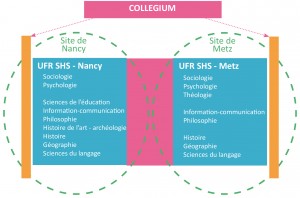 OrgaCollSHS